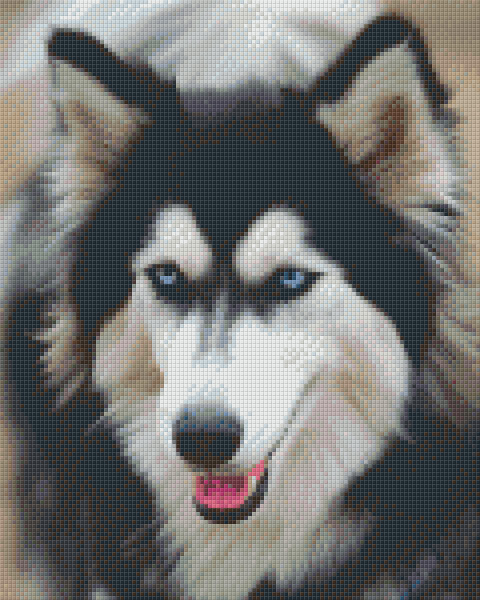 809323 Pixelset Husky 4 mit 9 Platten