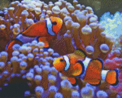 px809128_Pixelset-Clownfische-3