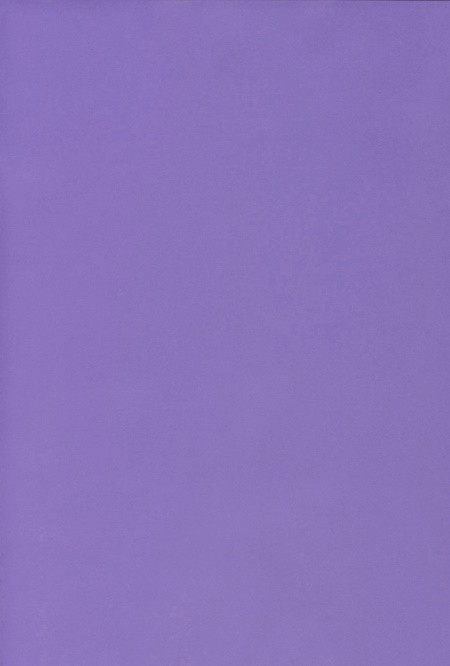 50494663 Ursus Transparentpapier violett A4
