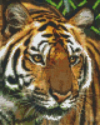 804461 Pixelhobby Klassik Set Tiger 4