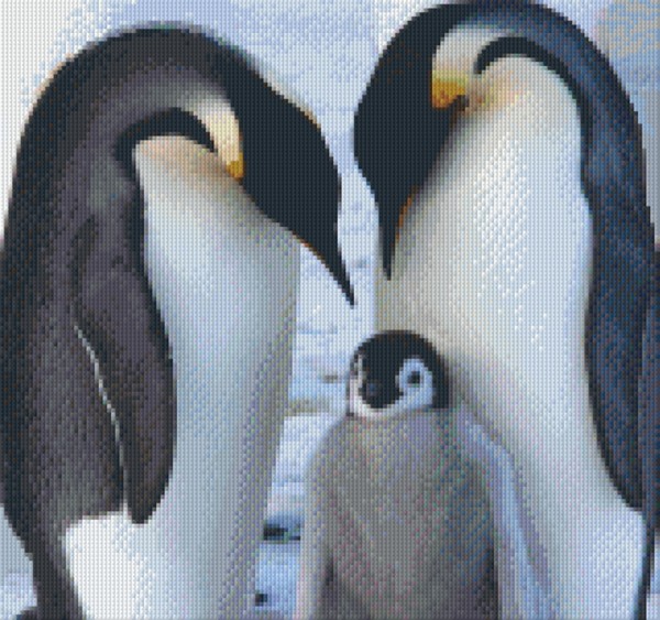 Set Pinguinfamilie