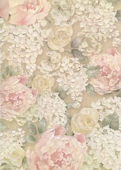 Hintergrundpapier Englische Rose