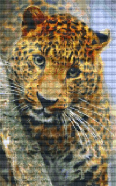 px808081_Pixelset-Leopard-6