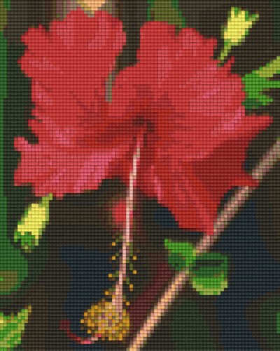 804198 Pixelhobby Klassik Set Hibiskus