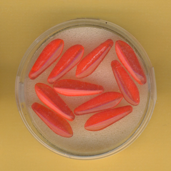 4834-16074 Dagger Beads 16x5mm transparent orange 10 Stück