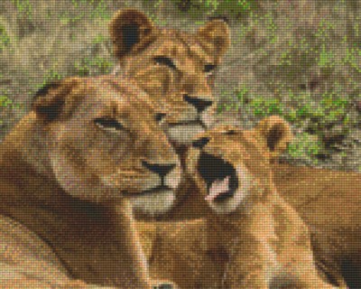 809211_Pixelset-Löwenfamilie