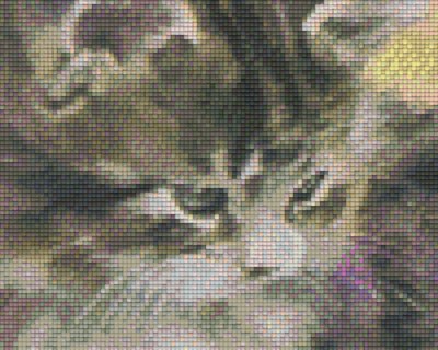 804062 Pixelhobby Klassik Set Katze grau 2