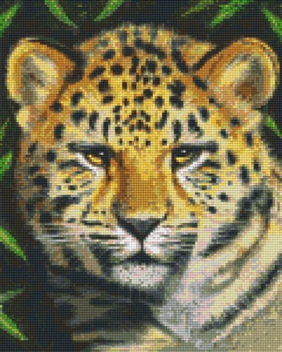 px809422_Pixelset-Leopard-7