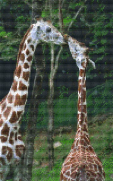 808021_Pixelset-Giraffen