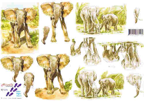 Motivbogen Elefanten