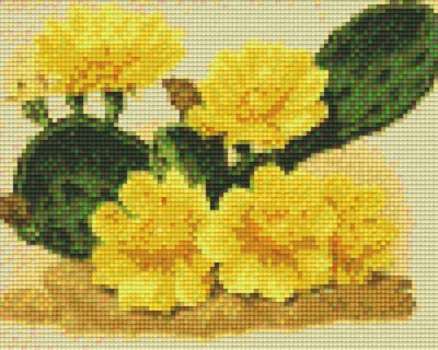 804059 Pixelhobby Klassik Set Kaktus mit gelben Blumen