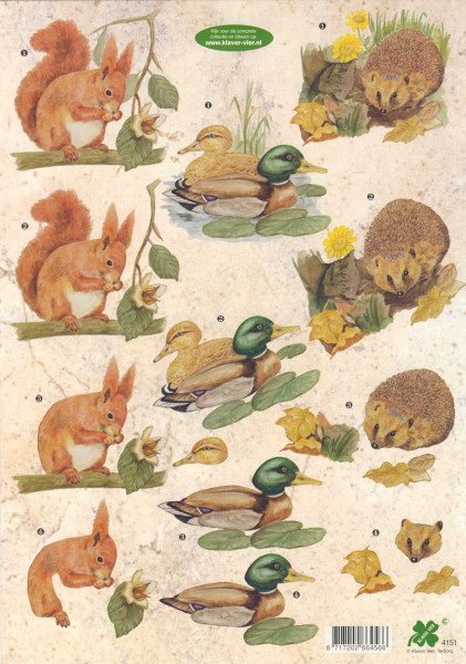 4151 3D Motivbogen A4 Eichhörnchen und Wildente
