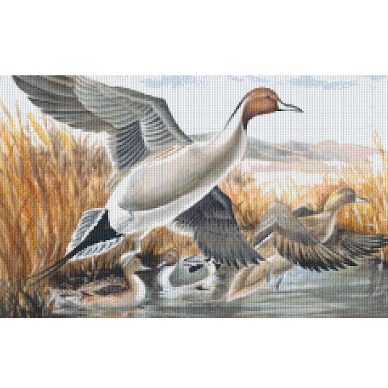 818004 Pixelhobby Klassik Set Enten