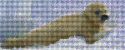 802027 Pixelhobby Klassik Set Seehund