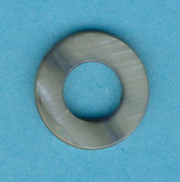 497713461 Perlmutt flach rund 20mm blaugrün