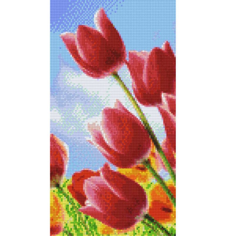 806168 Pixelhobby Klassik Set Tulpen 7