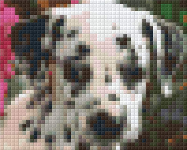 px8011194 Pixelhobby Klassik Set Dalmatiner