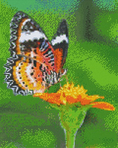 809392_Pixelset-Schmetterling-orange