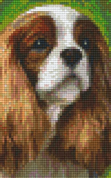 802095 Pixelhobby Klassik Set Hundeblick 6
