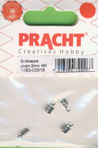 1263-02916 Endkappe 2mm platin 4 Stück