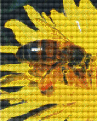 804044 Pixelhobby Klassik Set Honigbiene