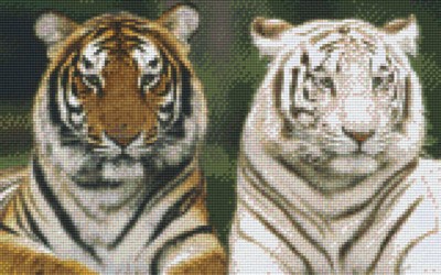 808069_Pixelset-Zwei-Tiger