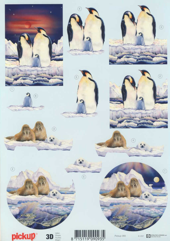 pu065 3D Motivbogen A4 Pinguin und Walross