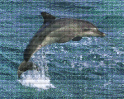 809190_Pixelset-Delfin-springend-2