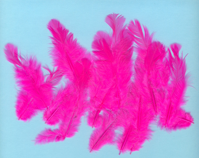 9302403 Hühnerfedern 8-9cm pink 20 Stück