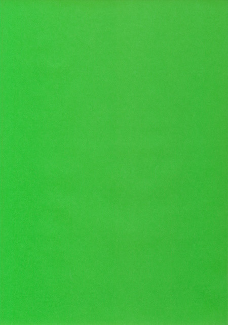 50494658 Ursus Transparentpapier grasgrün A4