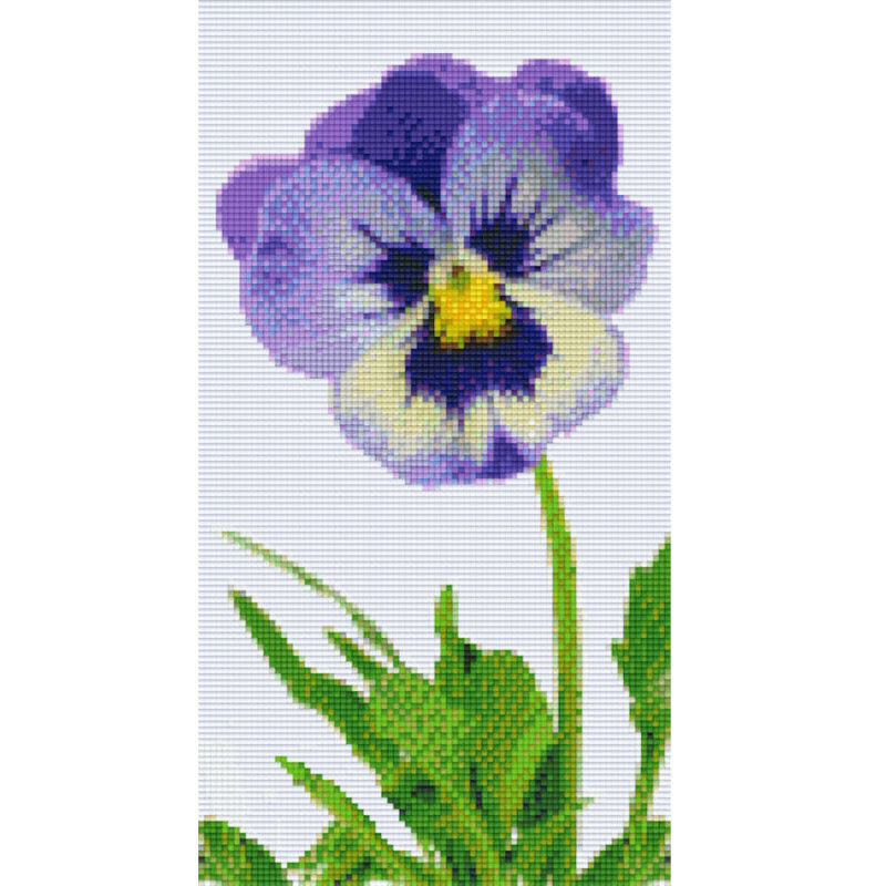 806161 Pixelhobby Klassik Set Veilchen 2
