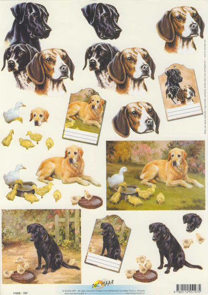 11055-197 3D Motivbogen A4 Hunde und Küken