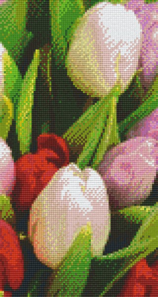 806139 Pixelhobby Klassik Set Tulpen 6