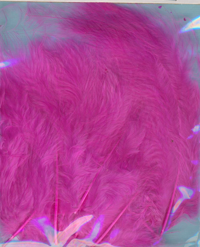 24012_Marabufedern-10-12cm-fuchsia-17-Stück
