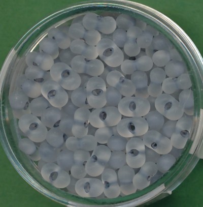 9644584 Farfalle Perlen 6,5x3,2mm kristall grau matt 17g
