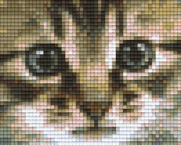 801179 Pixelhobby Klassik Set Katzenblick
