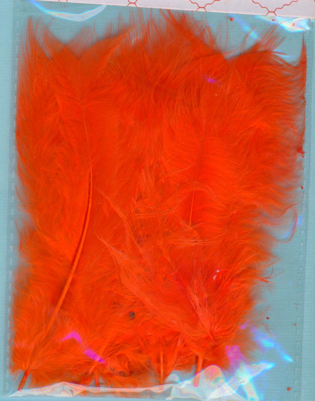005004_Federn-orange-20-Stück