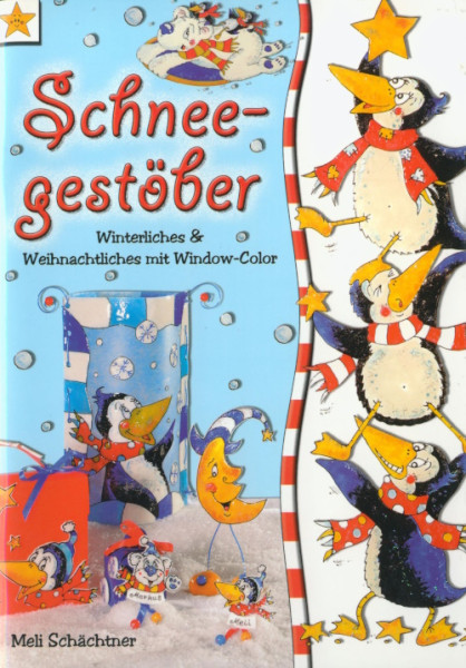 467711 Buch Schneegestöber