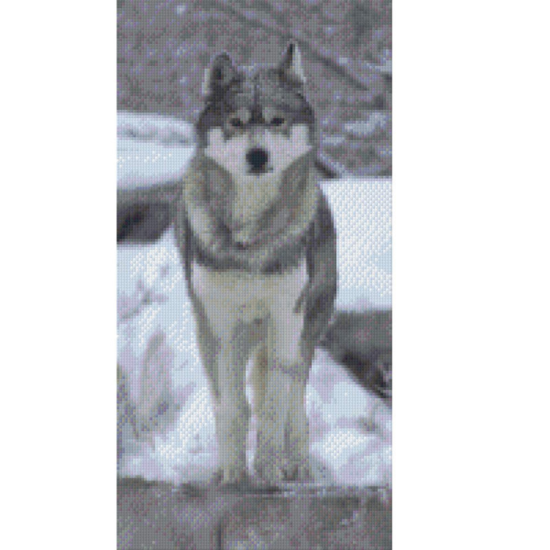 810005 Pixelhobby Klassik Set Wolf 3
