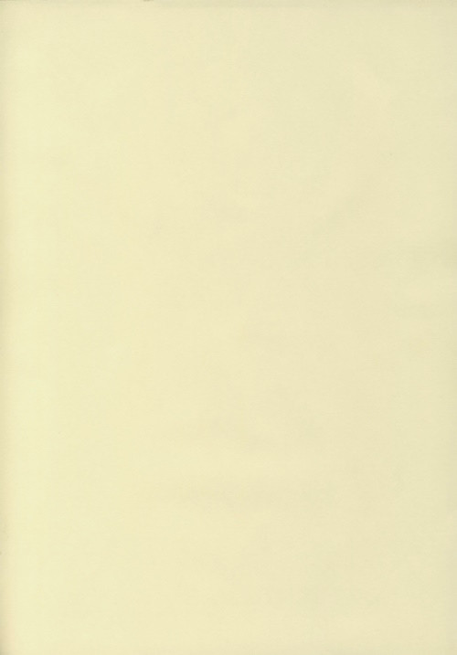 50494610 Ursus Transparentpapier creme A4