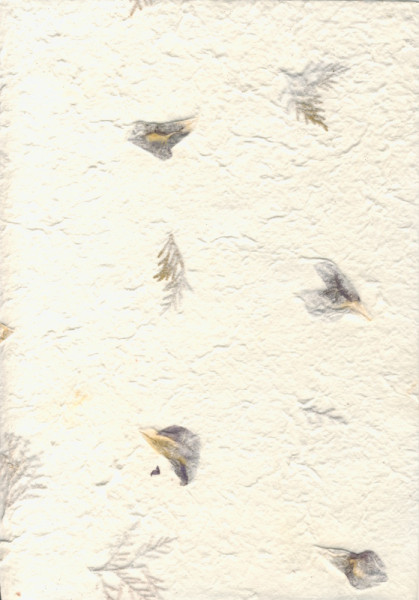 8006250 Naturpapier mit Struktur A4 elfenbein