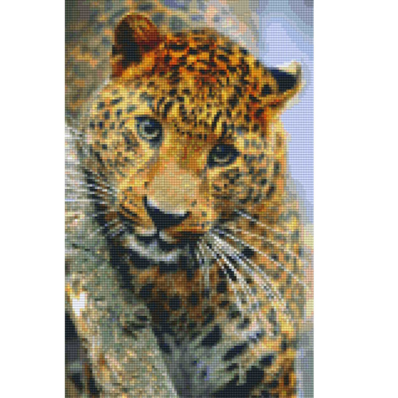808081 Pixelhobby Klassik Set Leopard 6