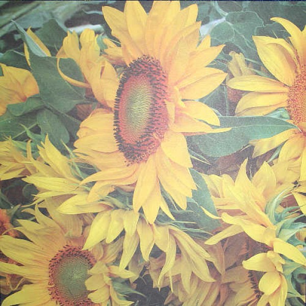 Scrapbook-Blatt Sonnenblumen
