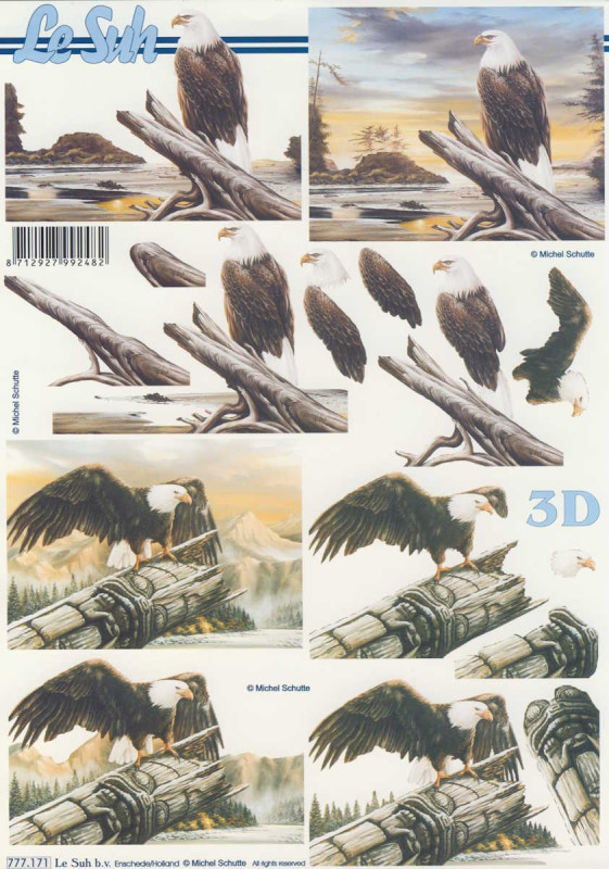 777.171 3D Motivbogen A4 Adler 2