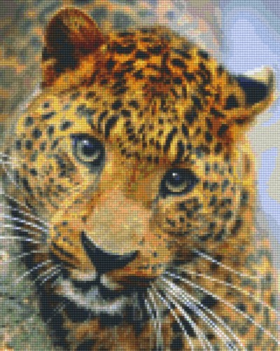 px809423_Pixelset-Gepard