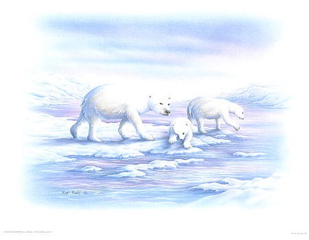 1514212 Motivbögen Eisbären für 3D Reliefbild
