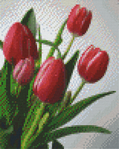 804015 Pixelhobby Klassik Set Tulpen