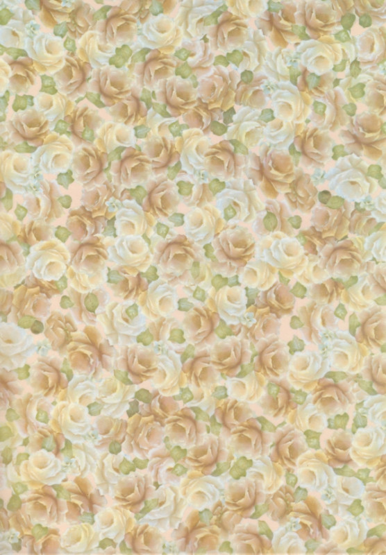 817053 Transparentpapier A4 Rosen beige