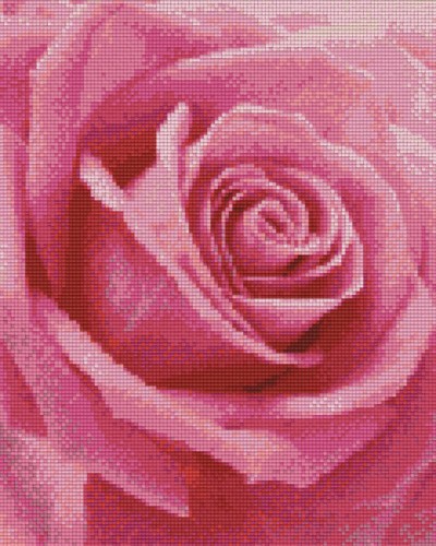 809372_Pixelset-Rose-3