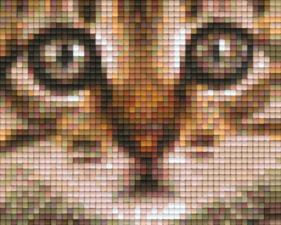 801305 Pixelhobby Klassik Set Katzenblick 2